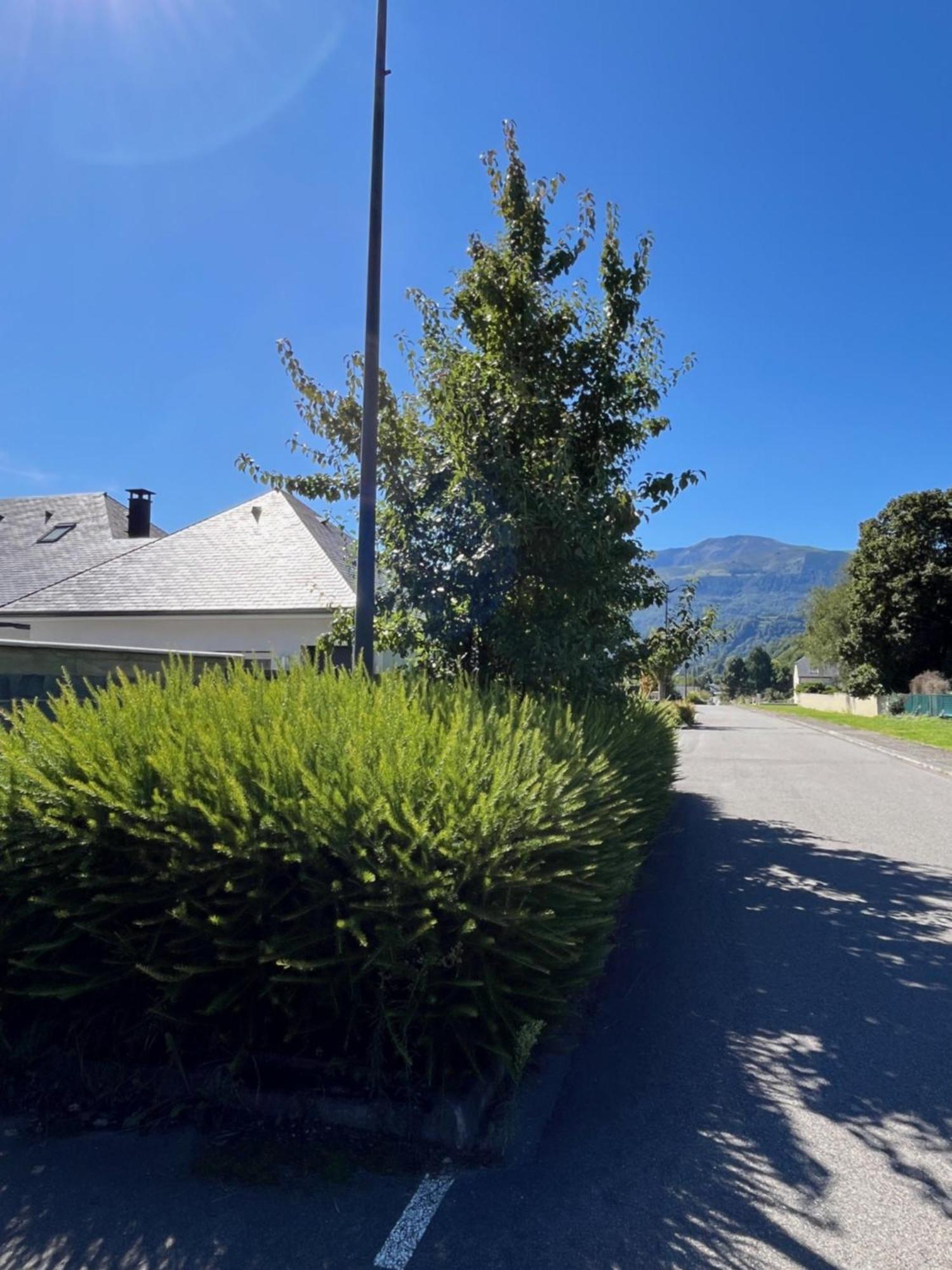 La Maison De Lilette Proche Argeles Gazost Ayzac-Ost Buitenkant foto